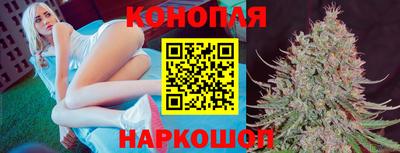 СК Будённовск